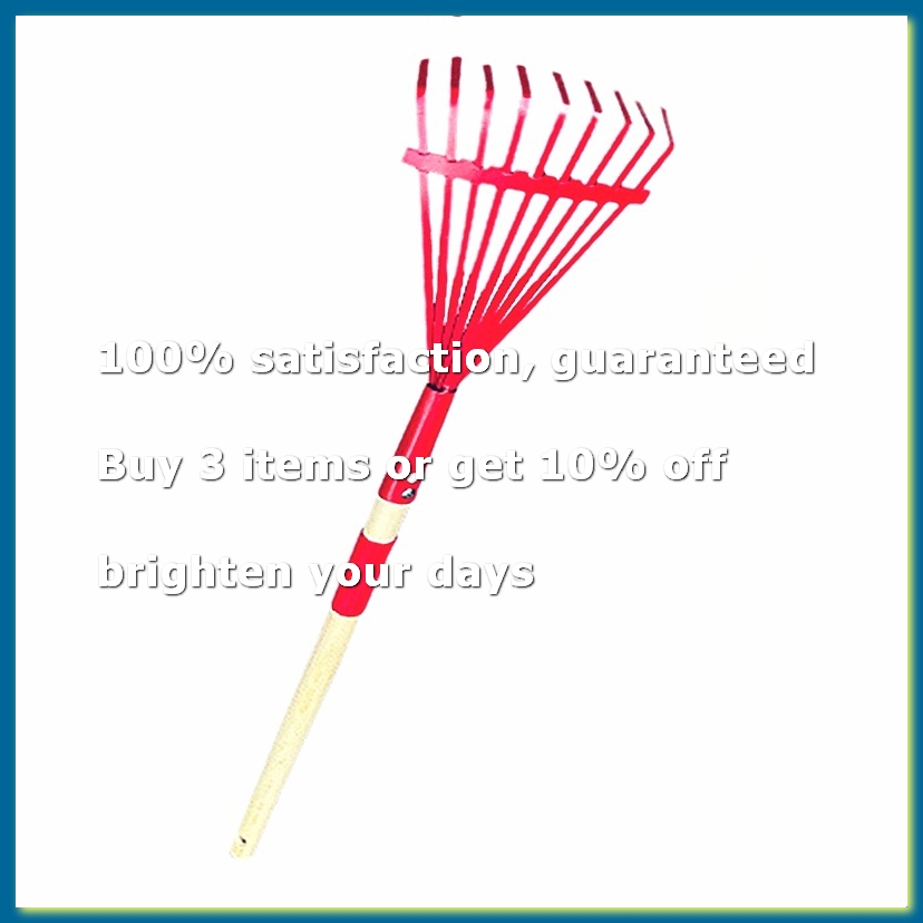 Gardening Tools For 3 Year Old - Children'S Rake with Hardwood Handle and
