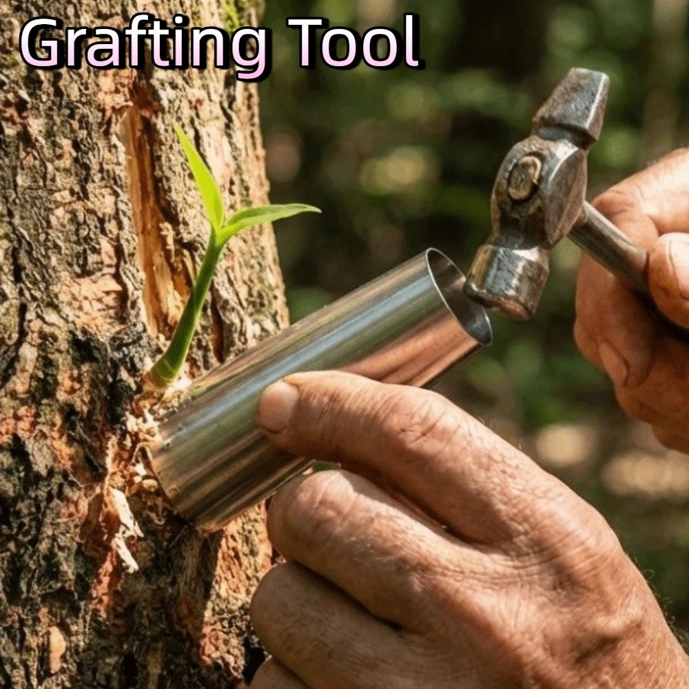 Bonsai Tool Set - 5Pcs Stainless Steel Bud-Grafting Tools Non-Damaging