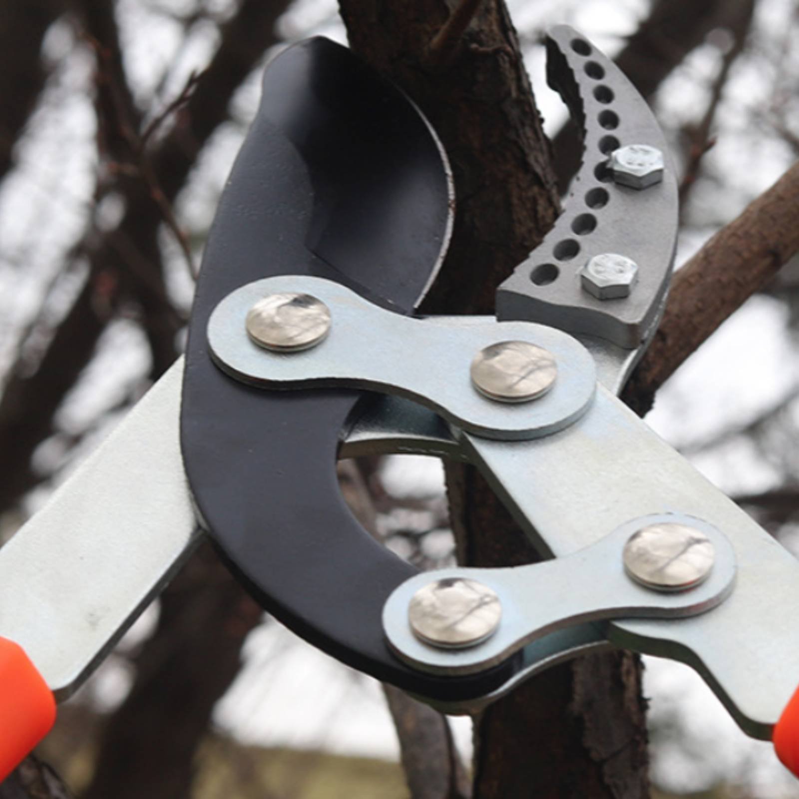 Gardening Tools In - Telescopic Branch Pruners Sharp Blade Sturdy