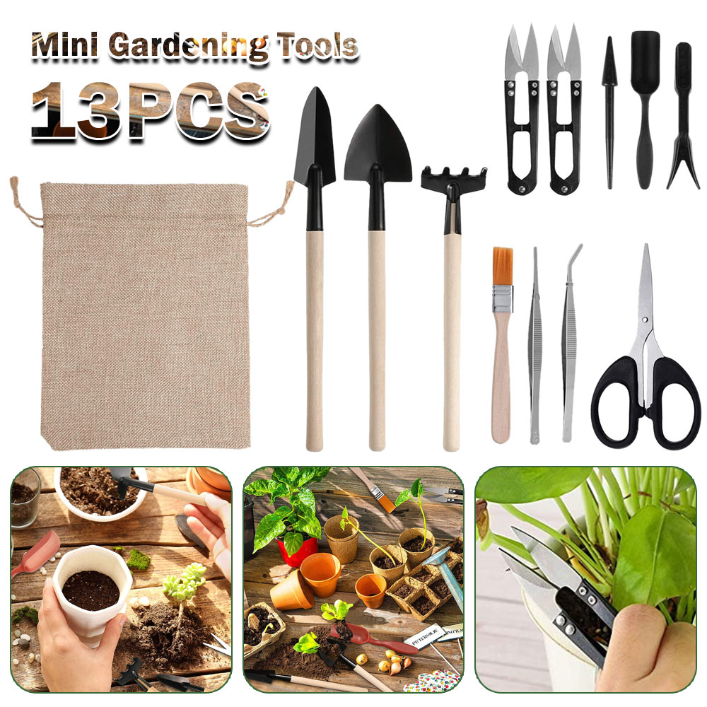 Bonsai Tool Set - Succulent Plants Tools Mini Garden Hand