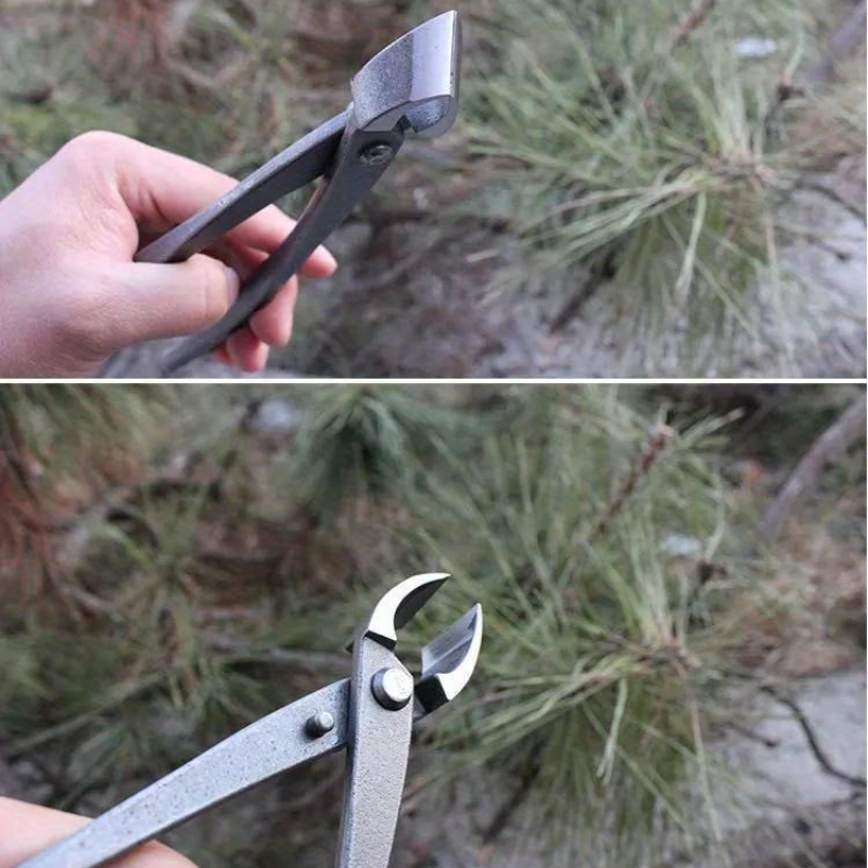 Bonsai Knob Cutter Concave Edg - Bonsai Tool Set review and price
