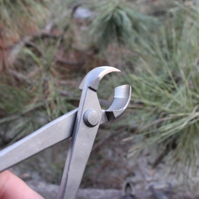 Bonsai Knob Cutter Concave Edg - Bonsai Tool Set review and price
