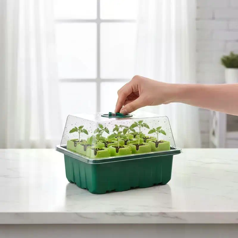 1Set Seed Starter Tray Mini Gr - Propagation Tray Dome review and price