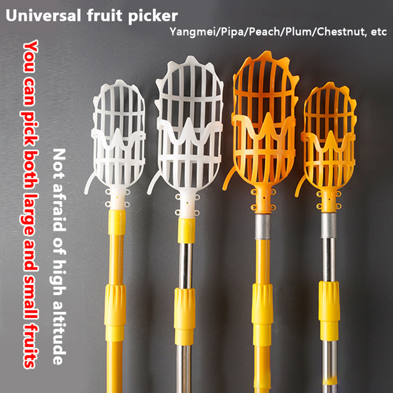 Picking Loquat Picking Bayberr - Gardening Tools Rack review and price