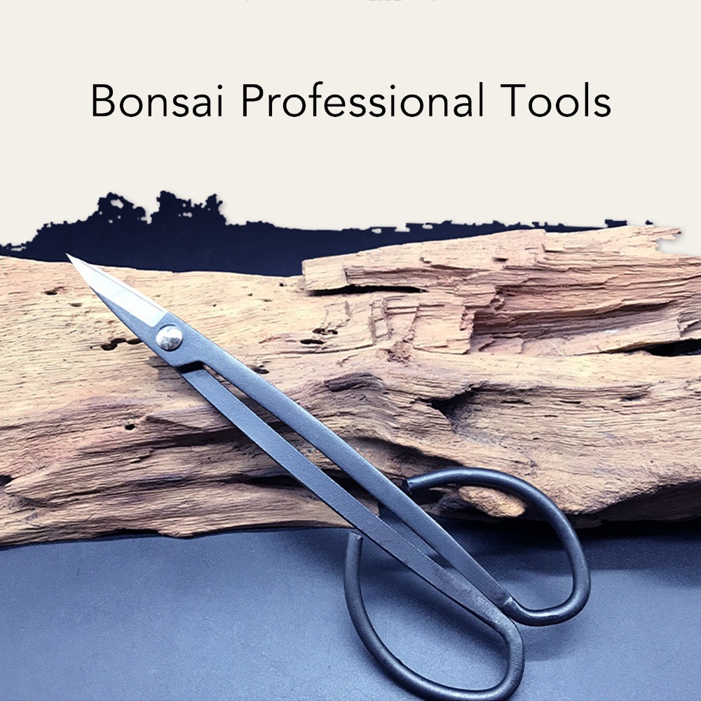 Stainless Steel Bonsai Scissor - Bonsai Tool Set review and price
