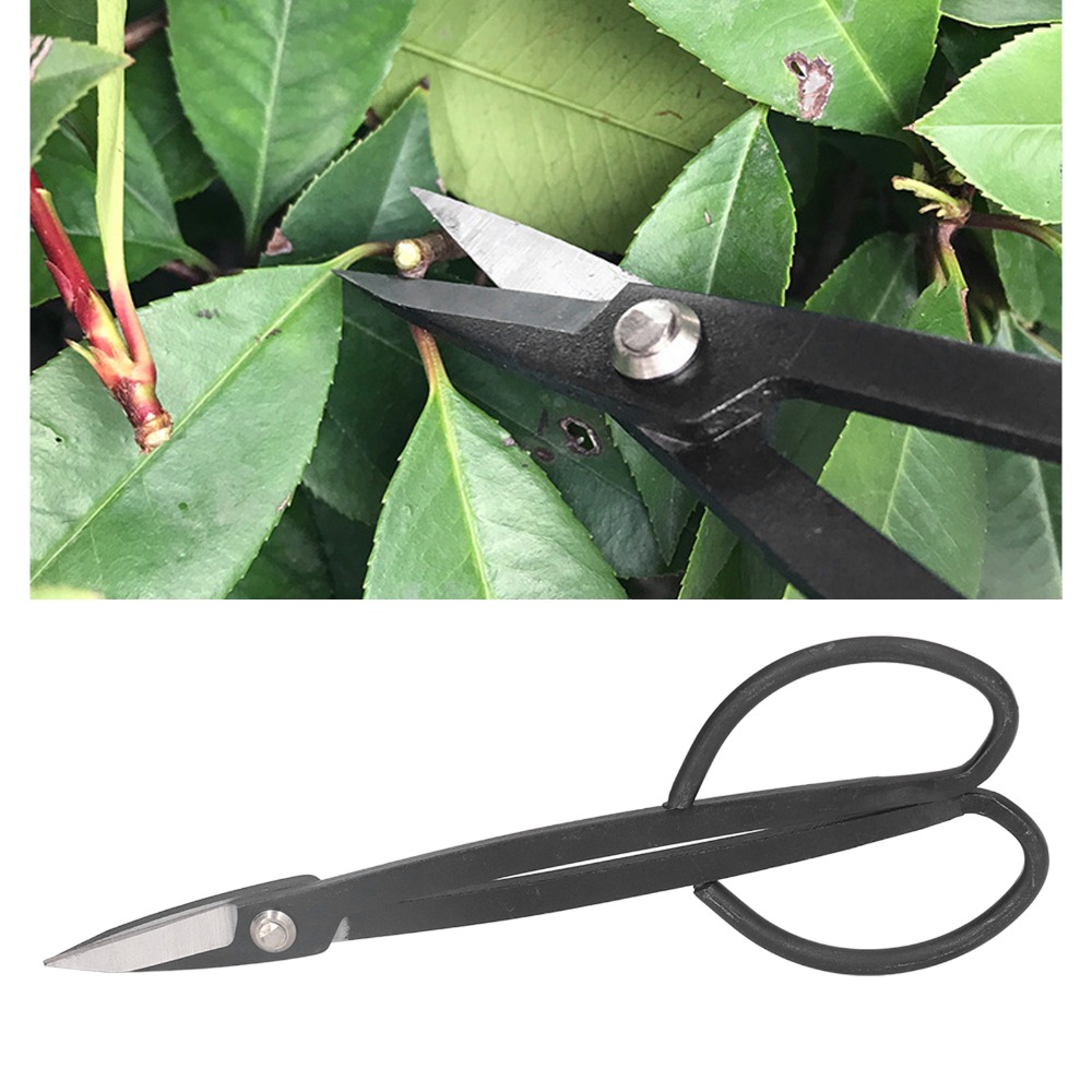 Stainless Steel Bonsai Scissor - Bonsai Tool Set review and price