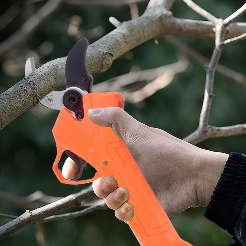 Hot Sale 42V Bodypack Electric - Gardening Tools In review and price