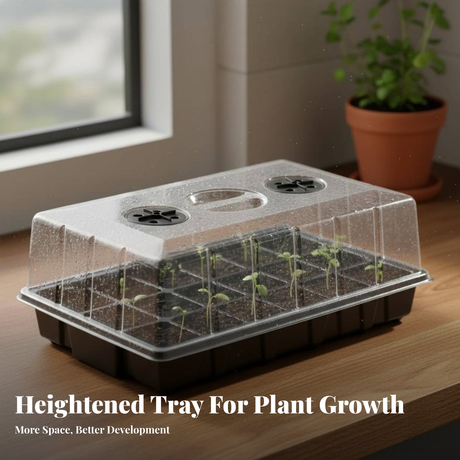 24 Compartment Nursery Tray Tr - Propagation Tray Dome review and price