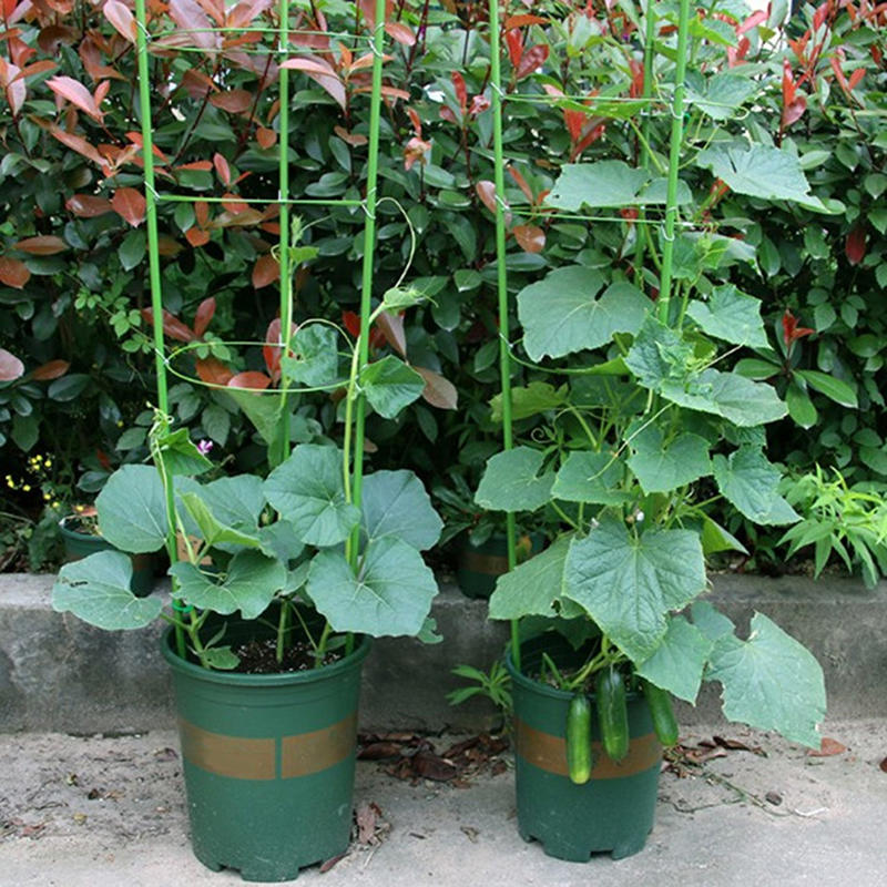 45cm Plant Support Plant Stake - Gardening Tools Range review and price