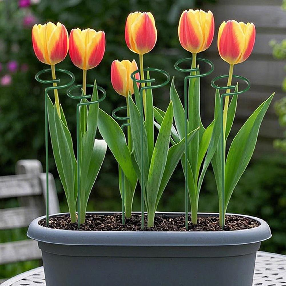 Metal Plant Support Rods Garde - Gardening Tools Range review and price