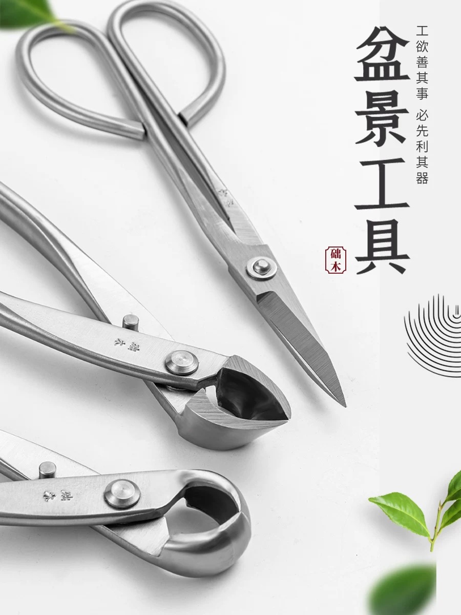 Bonsai Tools Set (3pcs) Branch - Bonsai Tool Set review and price