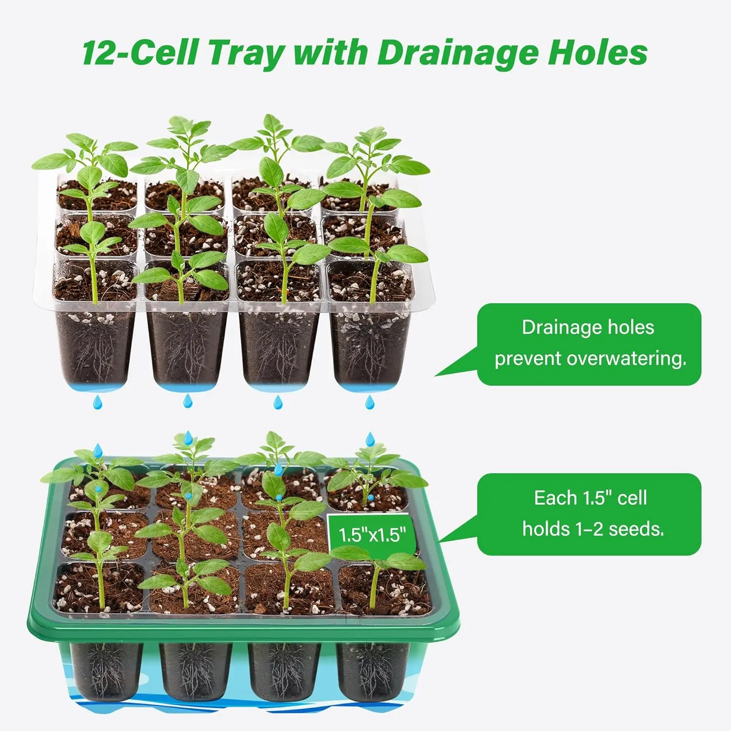6/12 Grids Growing Starting Nu - Propagation Tray Dome review and price