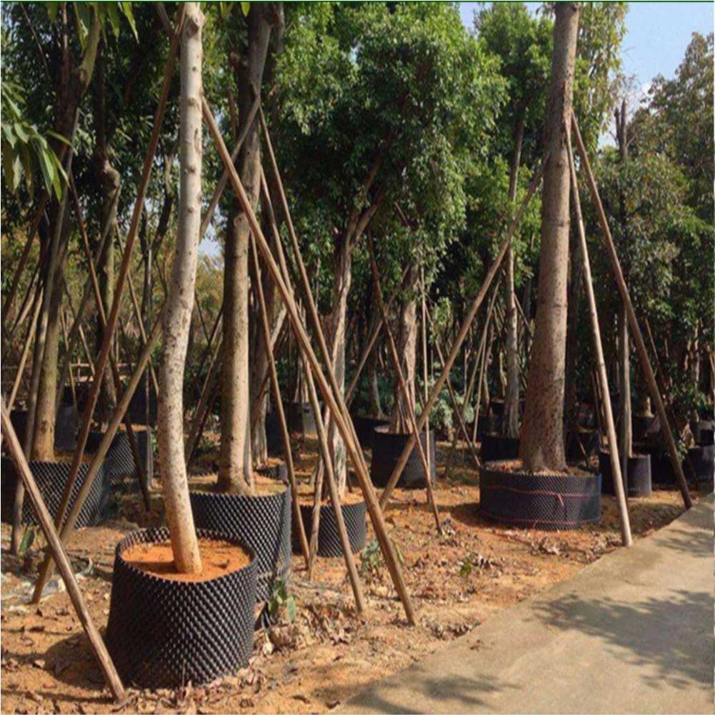 Grow Container Garden Tree Bon - Gardening Tools In review and price