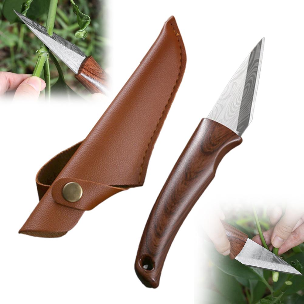 Wooden Handle Grafting Knife w - Bonsai Tool Set review and price