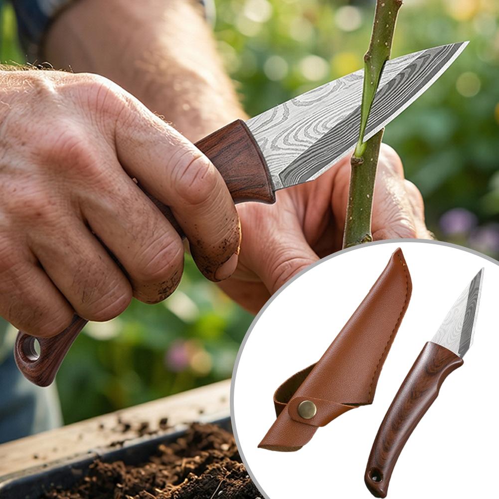 Wooden Handle Grafting Knife w - Bonsai Tool Set review and price