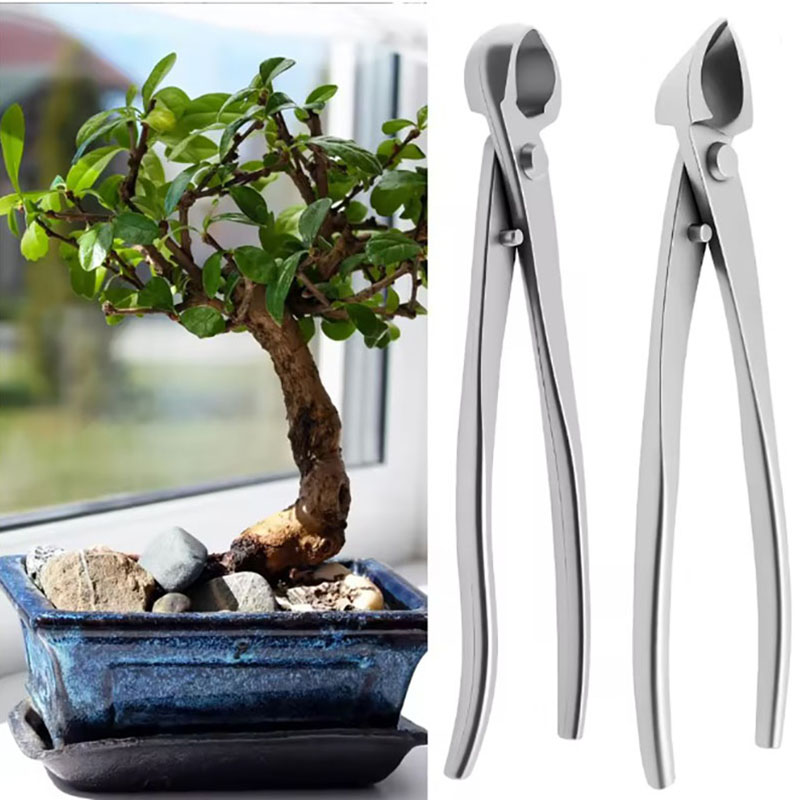 2pcs 210mm Stainless Steel Bon - Bonsai Tool Set review and price
