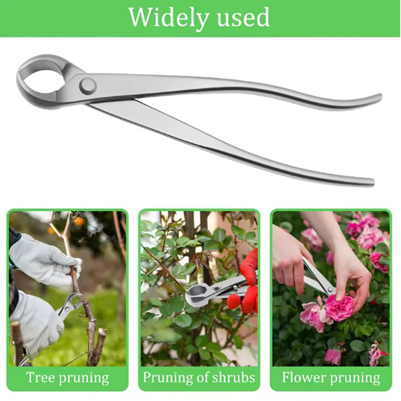 2pcs 210mm Stainless Steel Bon - Bonsai Tool Set review and price
