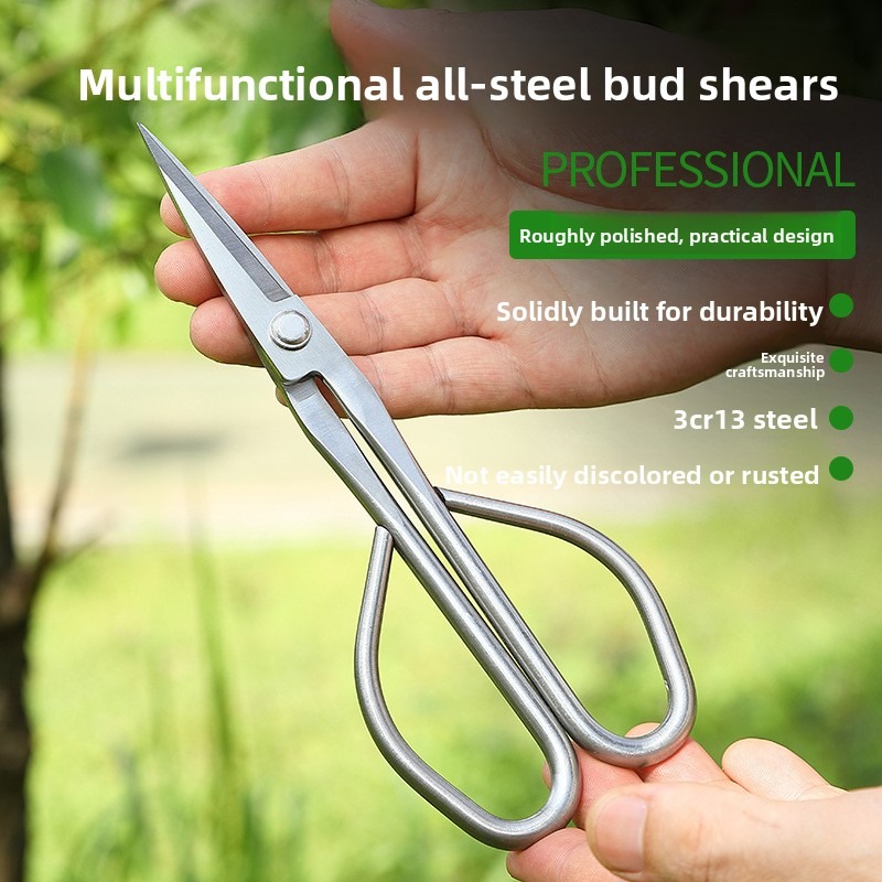Tender Leaf Scissors Bonsai To - Bonsai Tool Set review and price