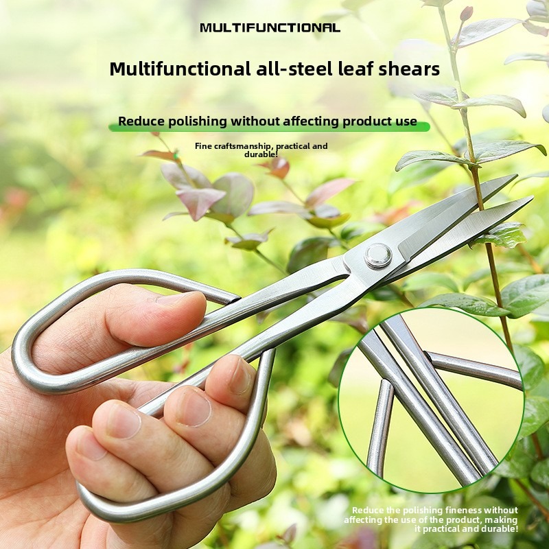 Tender Leaf Scissors Bonsai To - Bonsai Tool Set review and price