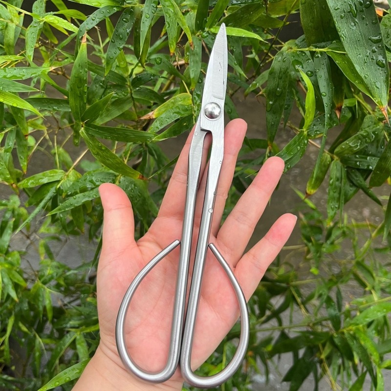 Tender Leaf Scissors Bonsai To - Bonsai Tool Set review and price
