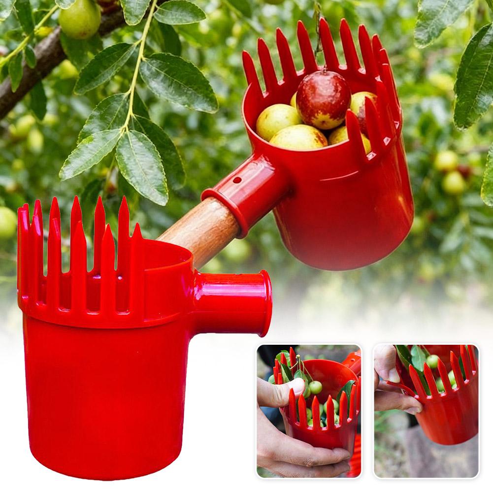 Fruit Picker Tool Portable Bas - Gardening Tools Rack review and price