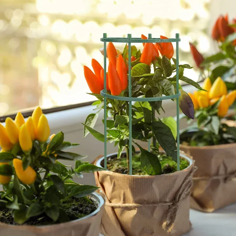 Plastic Plant Support Pile Sta - Gardening Tools Range review and price