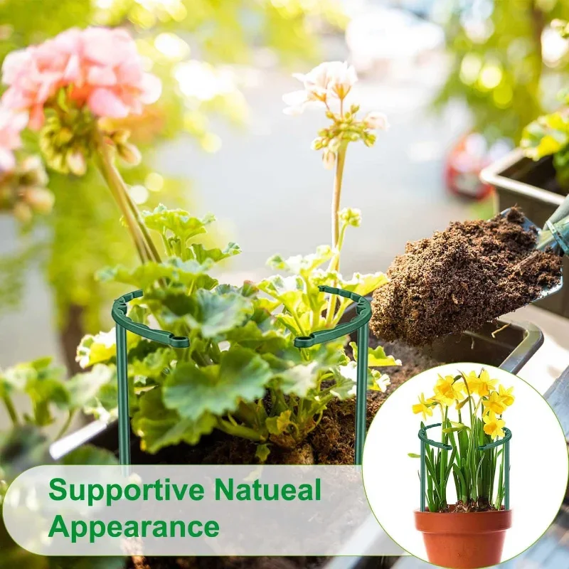 Plastic Plant Support Pile Sta - Gardening Tools Range review and price