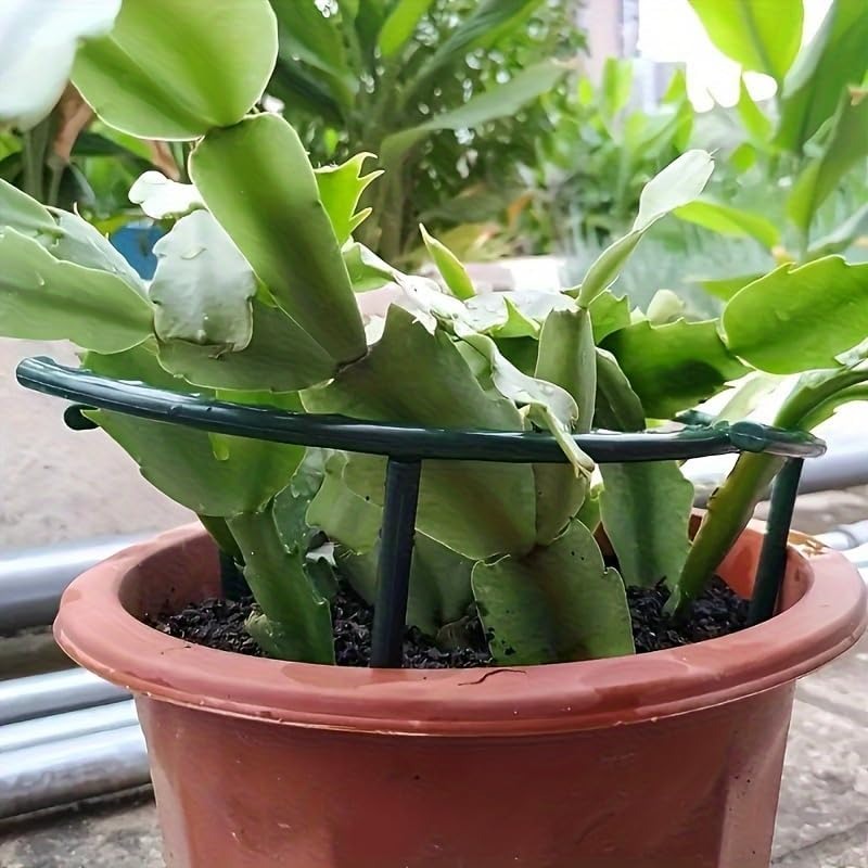 30-1PCS Plastic Plant Support  - Gardening Tools Range review and price