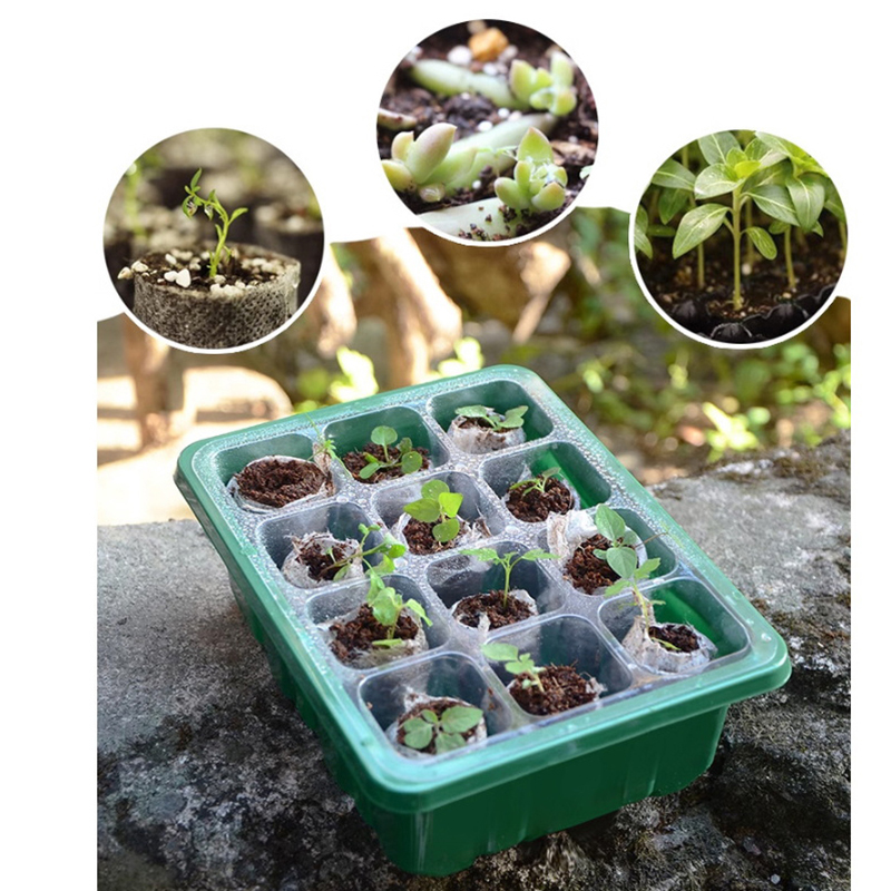 6/12 Holes Seed Starter Tray W - Propagation Tray Dome review and price