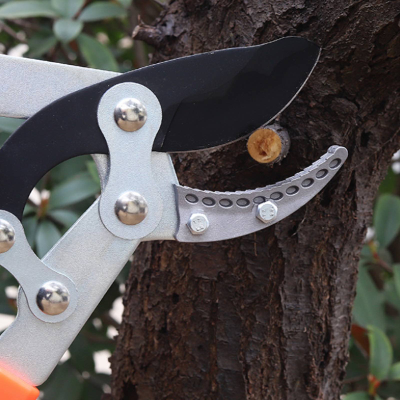 Telescopic Branch Pruners Shar - Gardening Tools In review and price