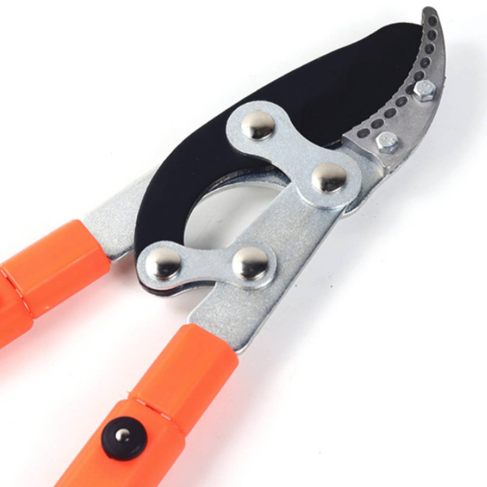 Telescopic Branch Pruners Shar - Gardening Tools In review and price