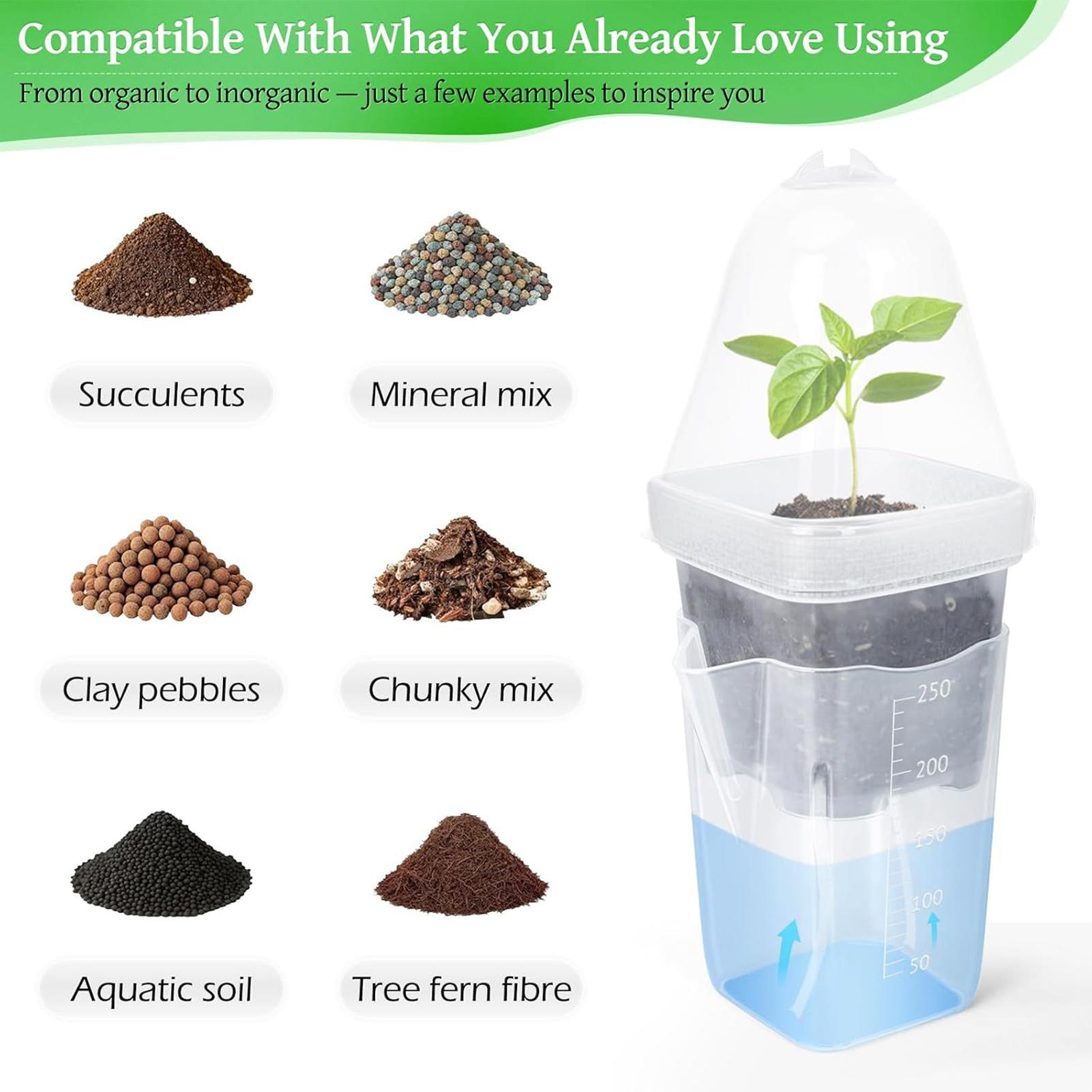 Self Watering Pots 12Pcs Seed  - Propagation Tray Dome review and price