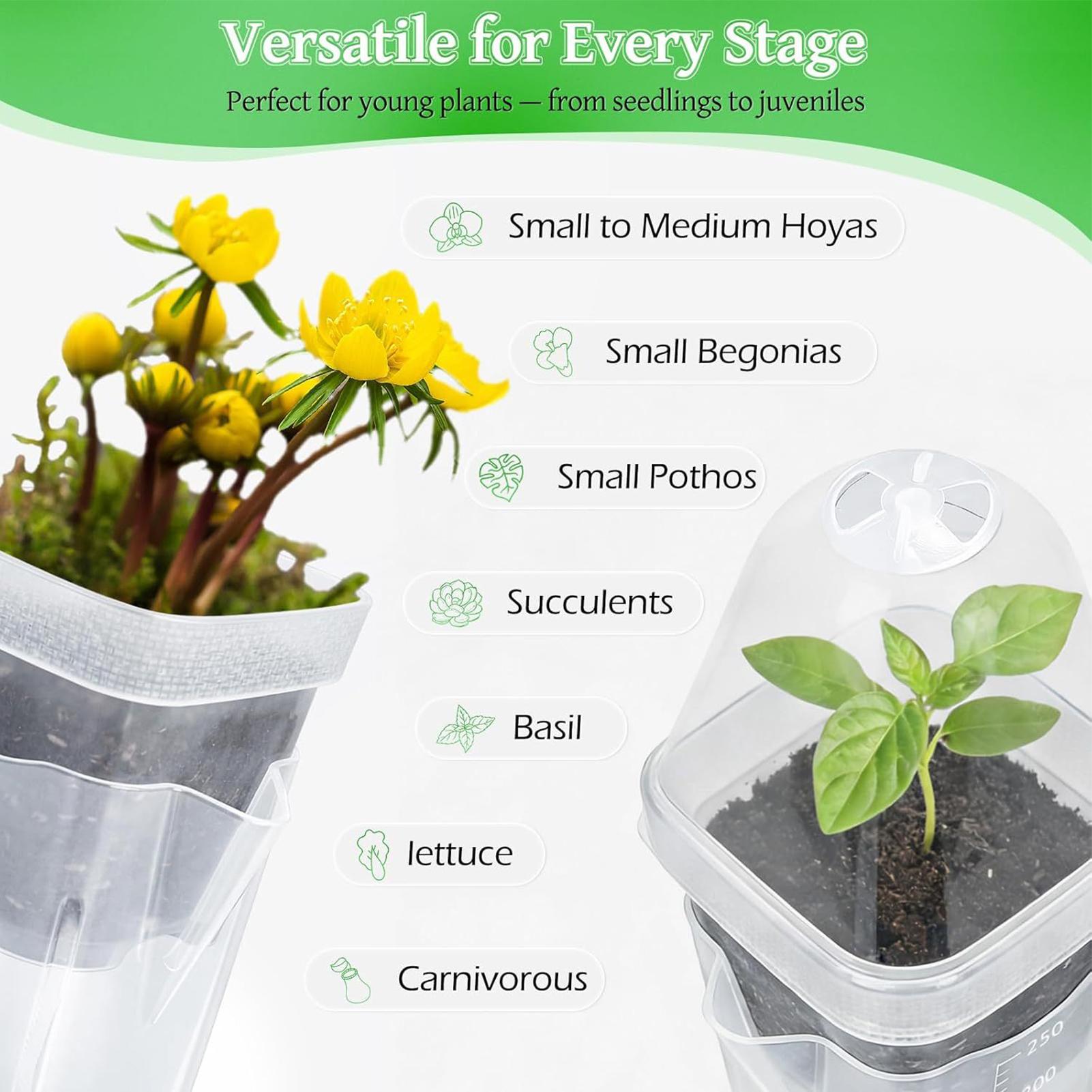 Self Watering Pots 12Pcs Seed  - Propagation Tray Dome review and price