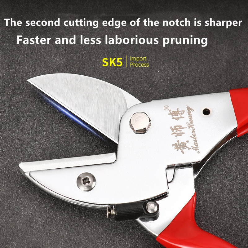 SK5 Steel Manual Garden Prunin - Bonsai Tool Set review and price