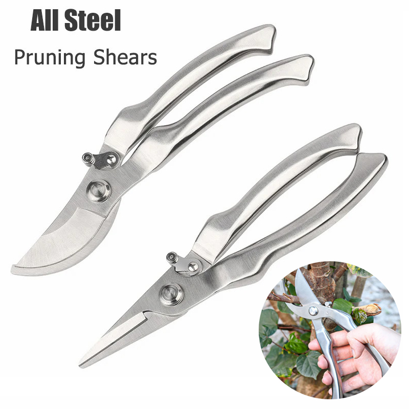 All Stainless Steel Profession - Bonsai Tool Set review and price