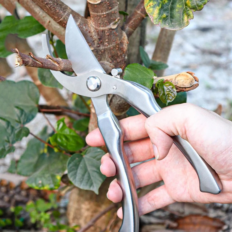 All Stainless Steel Profession - Bonsai Tool Set review and price