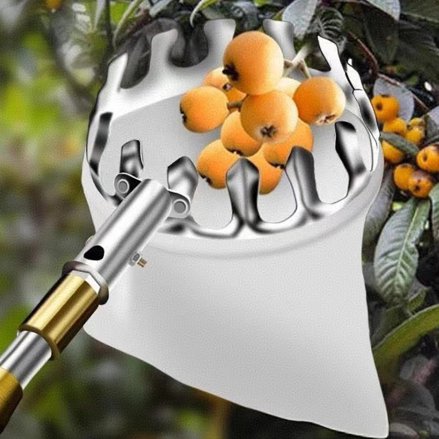 Professional Berry Picker Tool - Gardening Tools Rack review and price