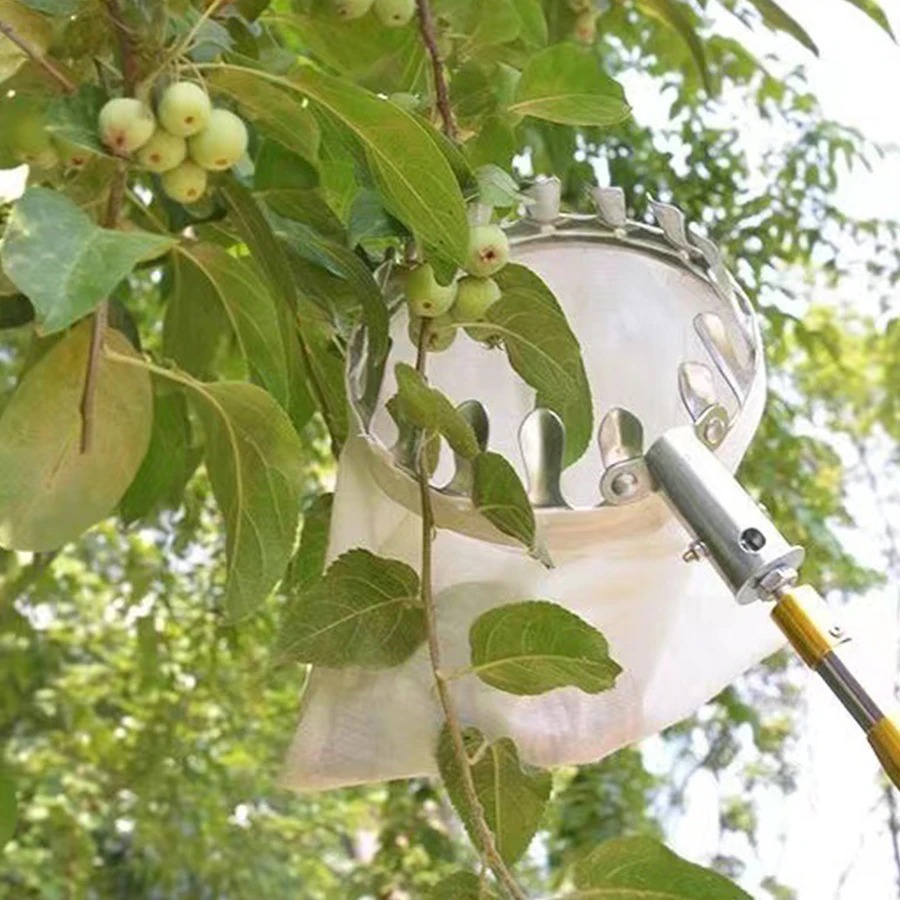 Professional Berry Picker Tool - Gardening Tools Rack review and price