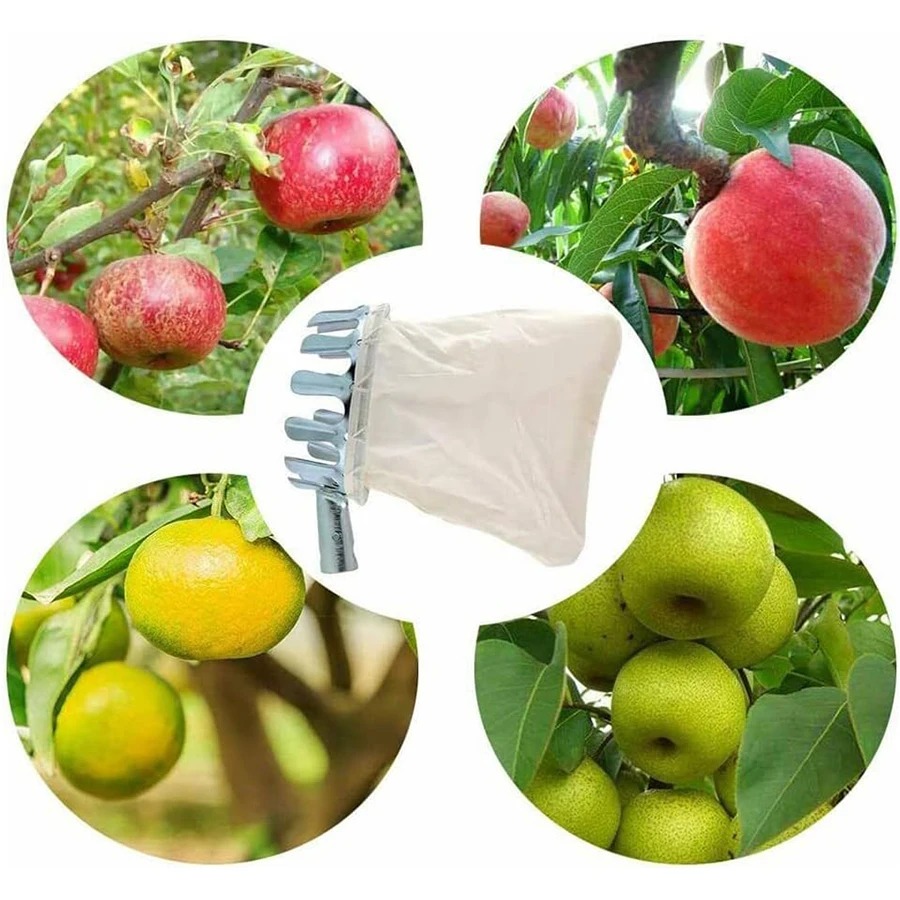 Professional Berry Picker Tool - Gardening Tools Rack review and price