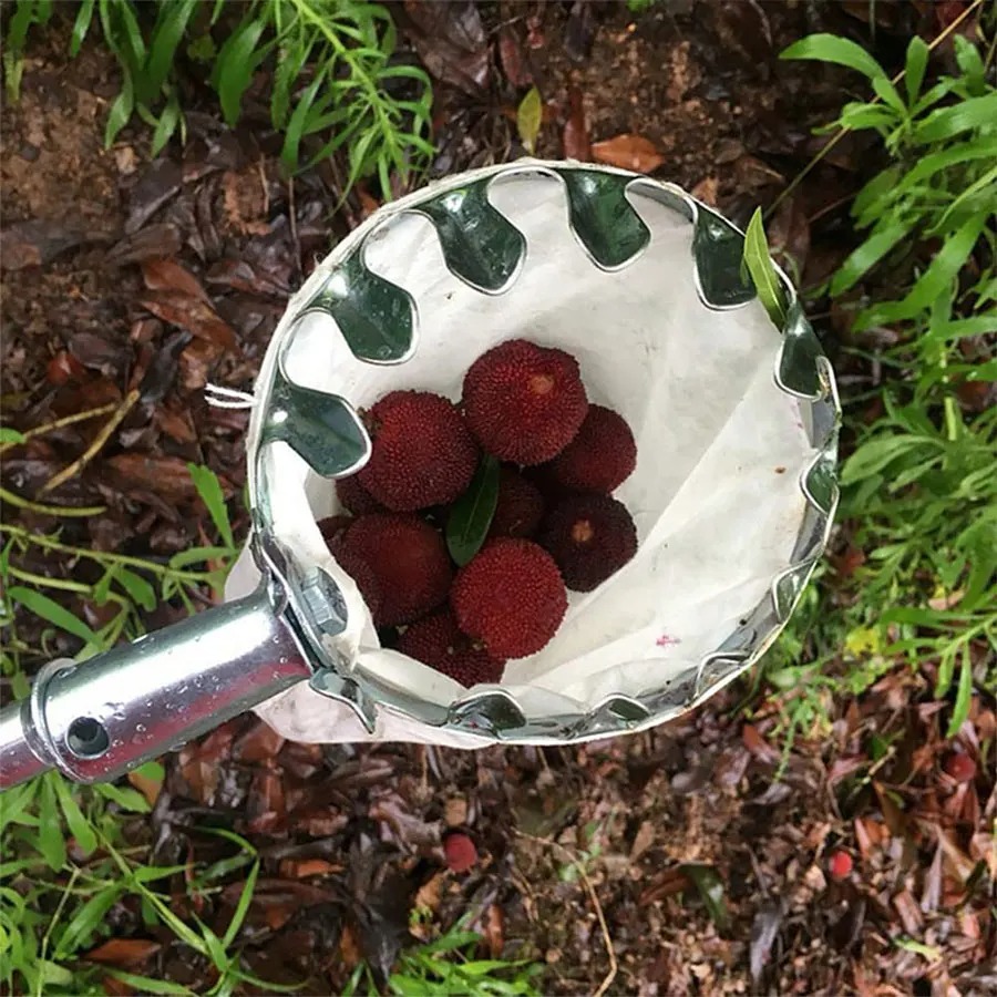 Professional Berry Picker Tool - Gardening Tools Rack review and price