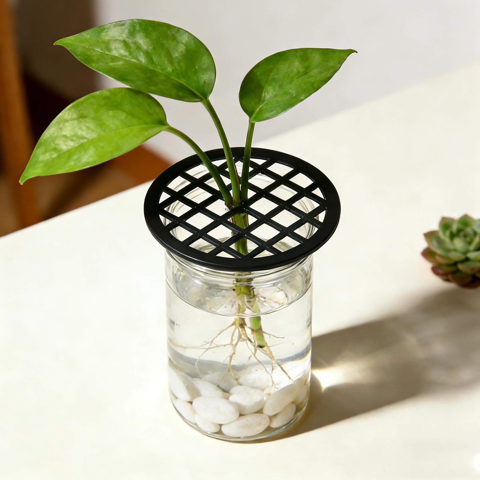 Plant Branch Support 4Pcs Gree - Propagation Tray Dome review and price