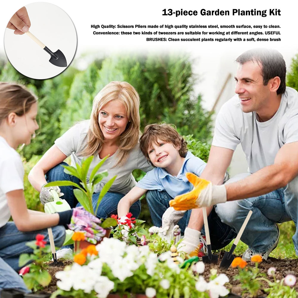 Succulent Plants Tools Mini Ga - Bonsai Tool Set review and price