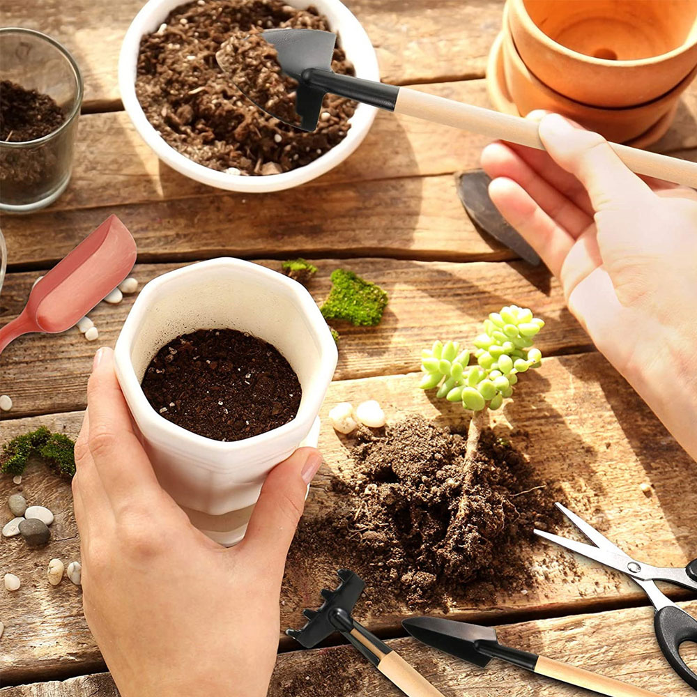 Succulent Plants Tools Mini Ga - Bonsai Tool Set review and price