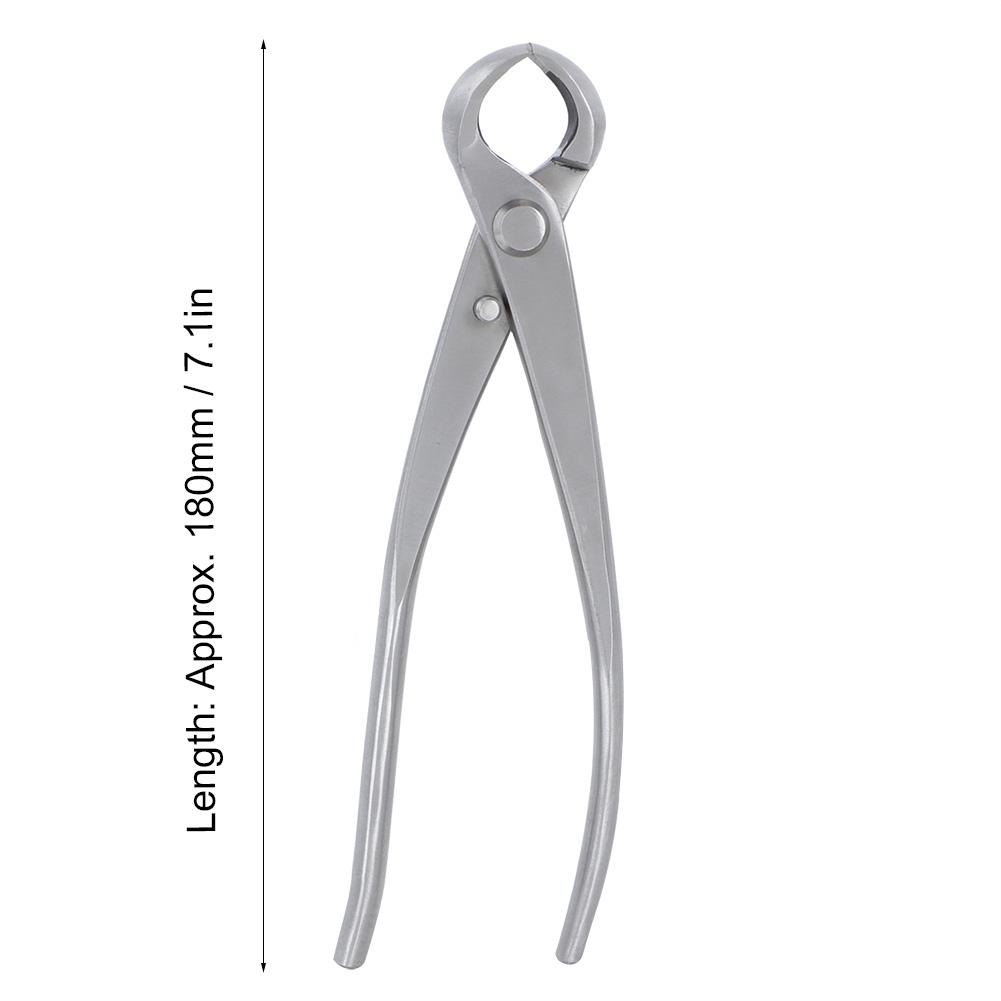 Concave Knob Cutter 180mm Stai - Bonsai Tool Set review and price